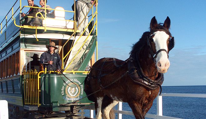 Victor Harbor Horse Drawn Tram 1