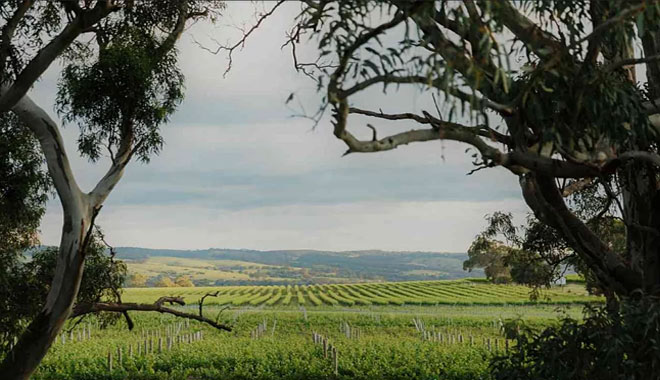 Victor Harbor and Southern Highlights Day Tour2