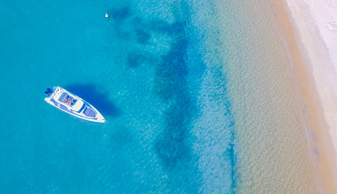 Sydney Harbour Boat Tours. Photo by Salty Dingo