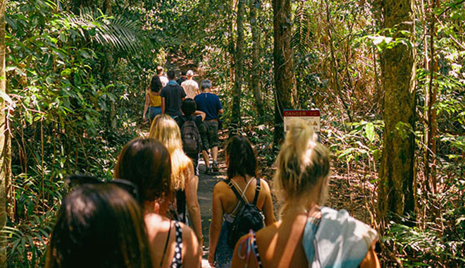 WEB 05 Half Day Splash & Slide Waterfalls Tour