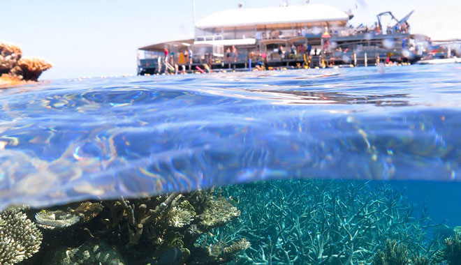 WEB Agincourt outer barrier reef pontoon platform inbg