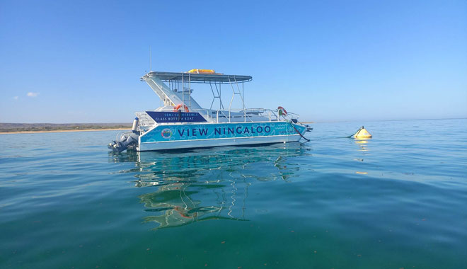 WEB Half Day Snorkel & Coral Viewing Exmouth West Australia 00.