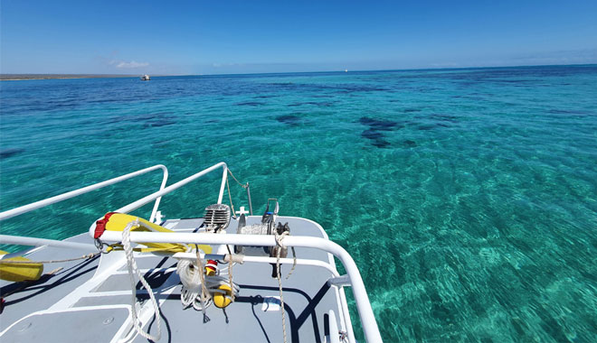 WEB Half Day Snorkel & Coral Viewing Exmouth West Australia 001 .jjpg