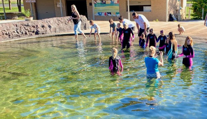 WEB Irukandji The Little Ray Cuddle