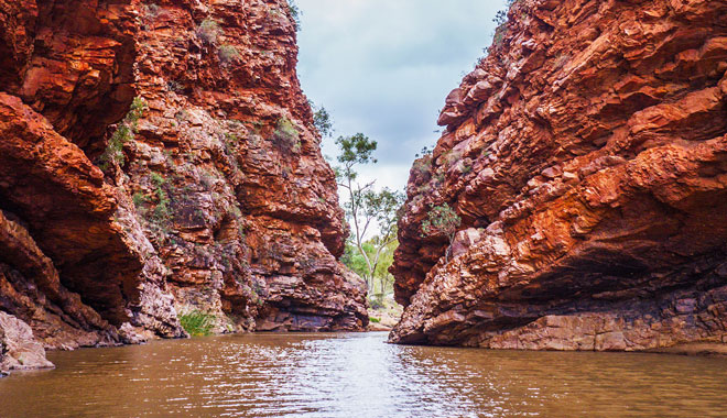 WEST MAC Alice springs