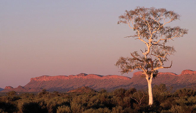 WEST MACDONNELL RANGES TOUR 51