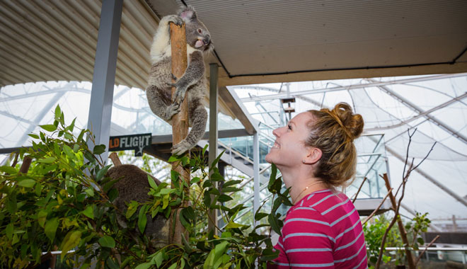 WILDLIFE Sydney Zoo1