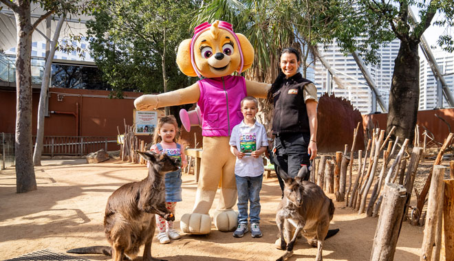 WILDLIFE Sydney Zoo2
