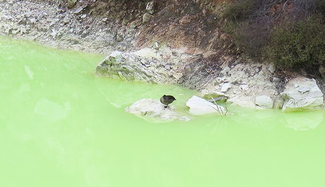 Wai o Tapu1