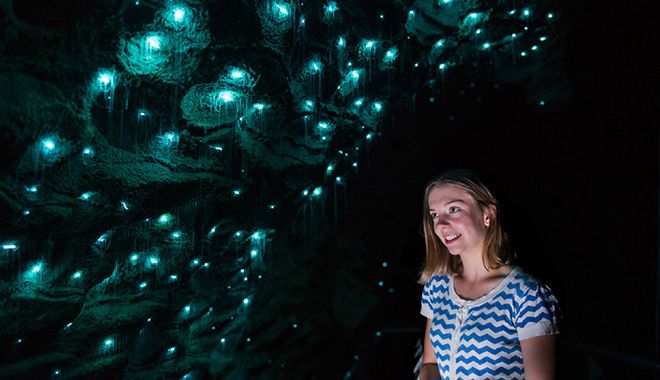 Waitomo Glowworm Caves 15