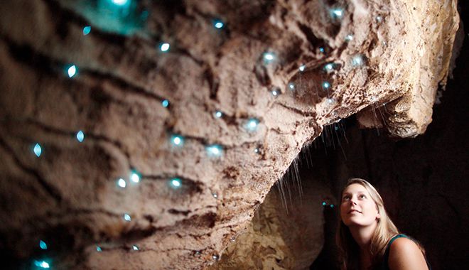 Waitomo Glowworm Caves 19