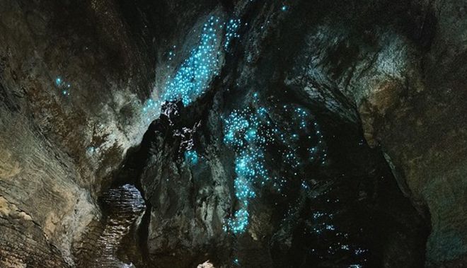 Waitomo Glowworm Caves 2