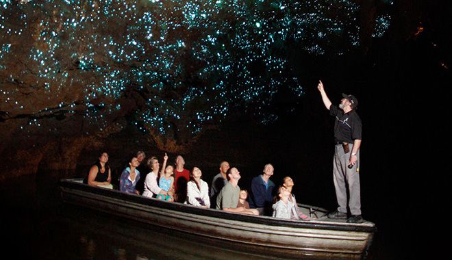 Waitomo Glowworm Caves 21