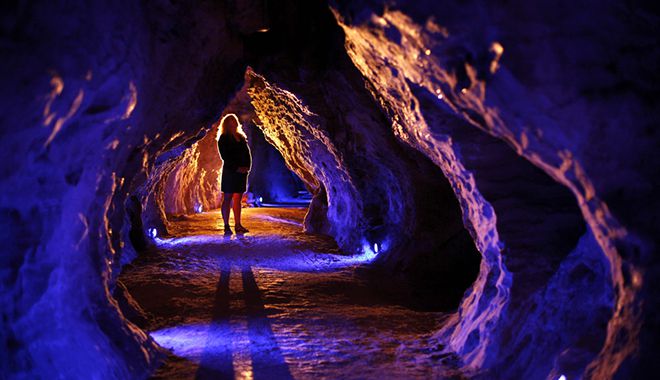 Waitomo Glowworm Caves 22