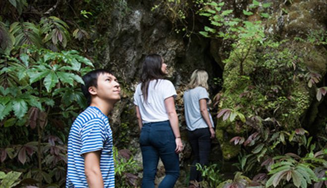 Waitomo Glowworm Caves 3