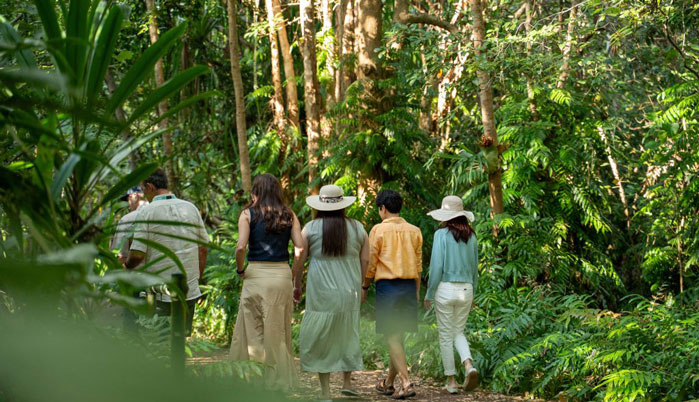 Waterfall, Wetlands Guided Tours with Skyrail Cableway & Coffee Plantation 001