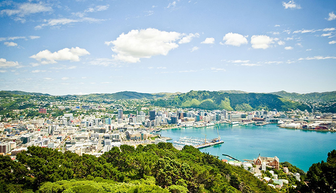 Wellington (15)