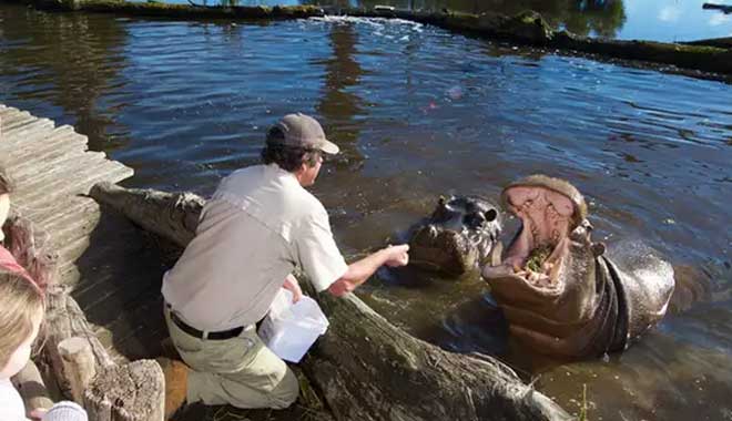 Werribee Open Range Zoo2
