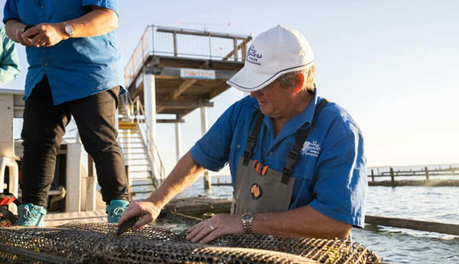 Whale Watching in the Great Australian Bight 7