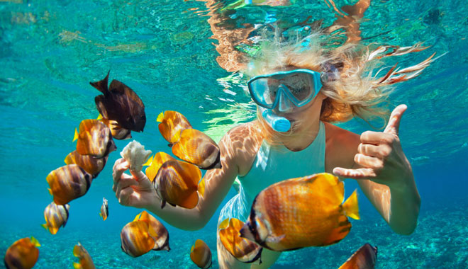 Whitsunday Bullet3