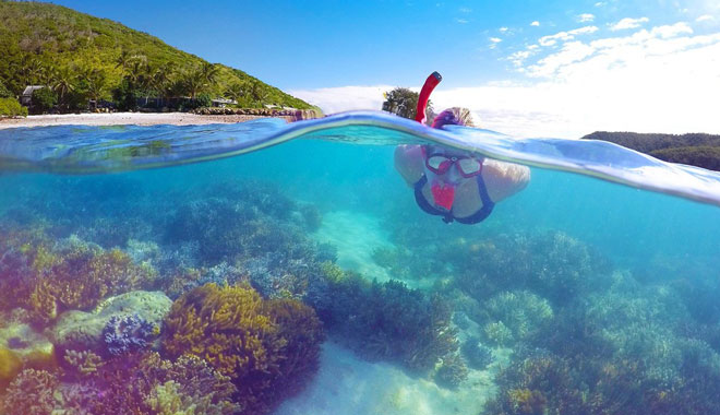 Wildcat Mackay   Red Cat Adventures   Snorkelling