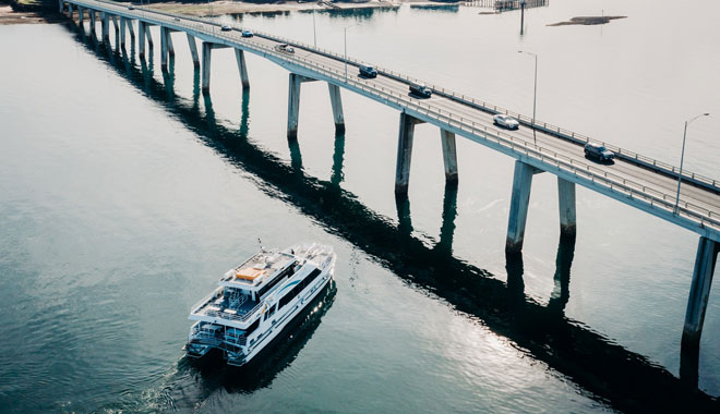 Wildlife Coast Cruises 002