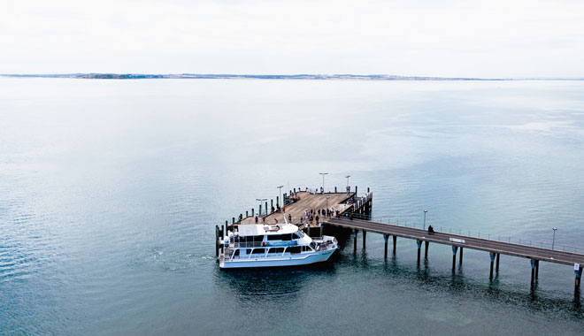 Wildlife Coast Cruises 017