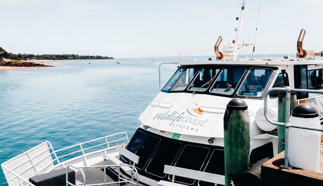 Wildlife Coast Cruises 018