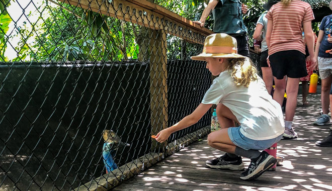 Wildlife Habitat Port Douglas (6)