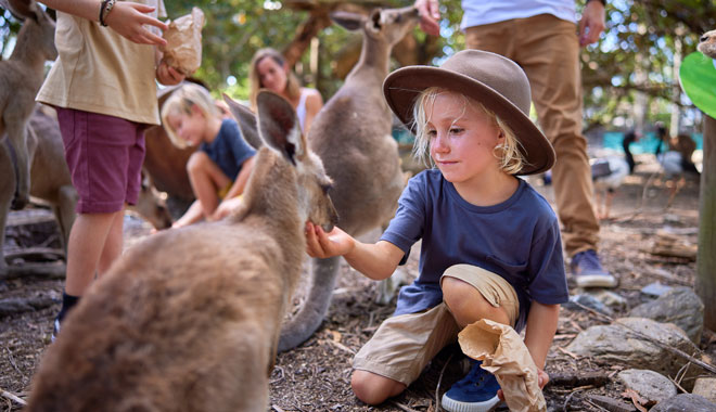 Wildlife Habitat Port Douglas (7)