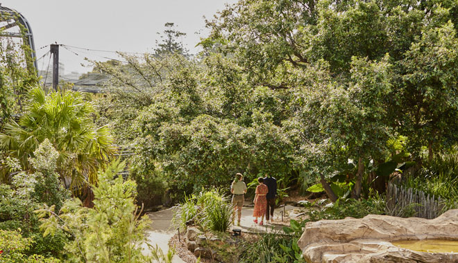 Wildlife Retreat at Taronga 3002