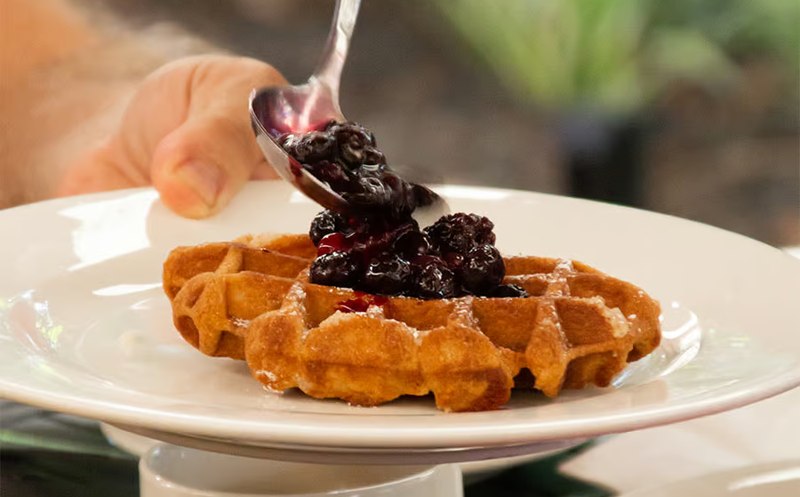Wildlife Habitat Breakfast With The Birds 02 800x497