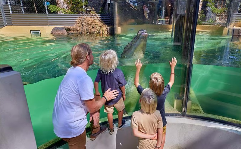 Wildlife Habitat Port Douglas 08 800x497
