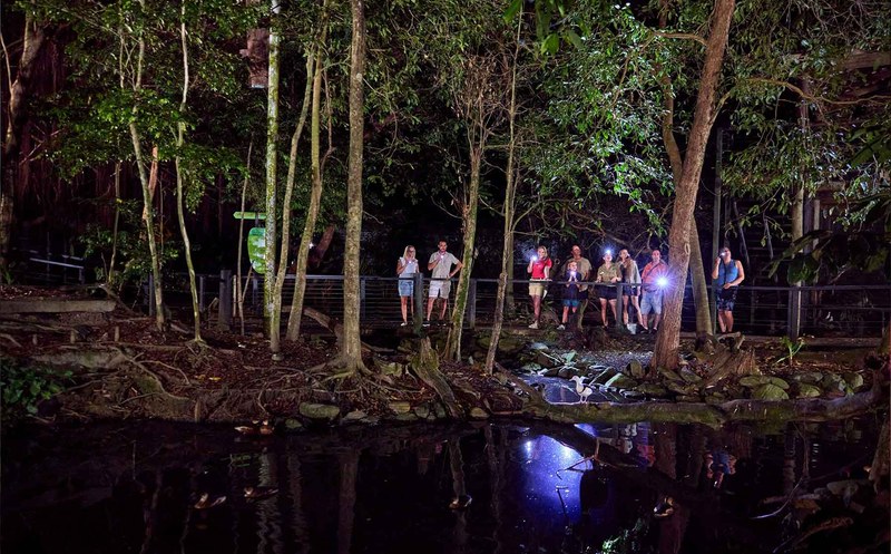 Wildlife Habitat WildNIGHT 01 800x497