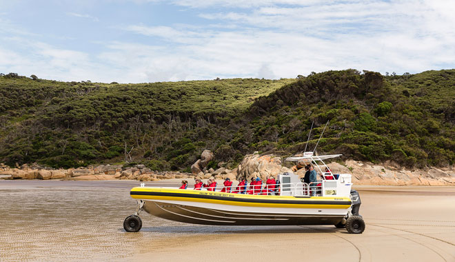 Wilsons Promontory 8