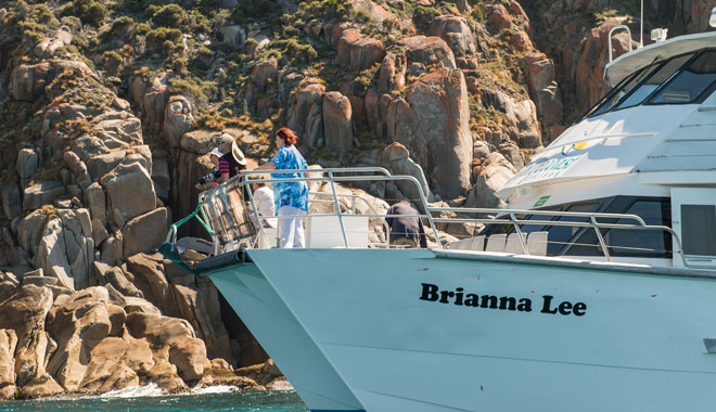 Wilsons Promontory Full Day Cruise 19