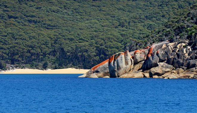 Wilsons Promontory Full Day Cruise 29