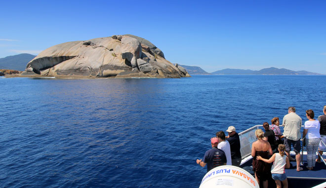 Wilsons Promontory Full Day Cruise 9
