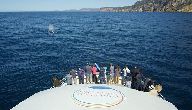 Wineglass Bay cruise 1