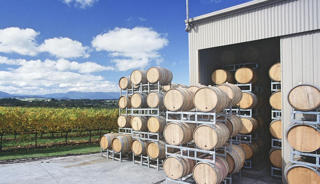 Yarra Valley Winery 5