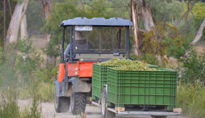 Yarra Valley Winery 8