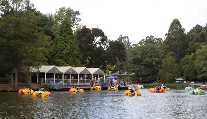 Yarra Valley and Dandenong Ranges1