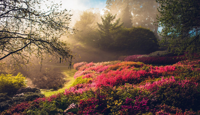 Yarra Valley and Dandenong Ranges3