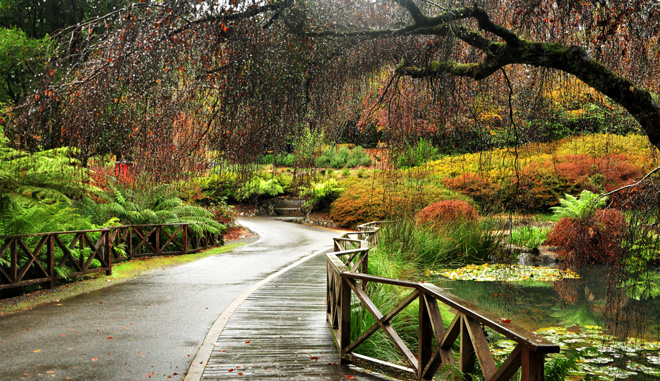 Yarra Valley and Dandenong Ranges4
