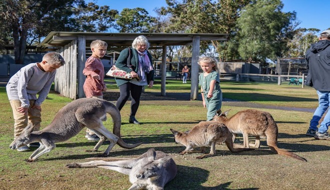 a923bef13cf5977ce28cdf964cdd3277