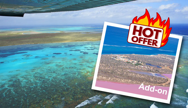 abrolhos island discovery tour
