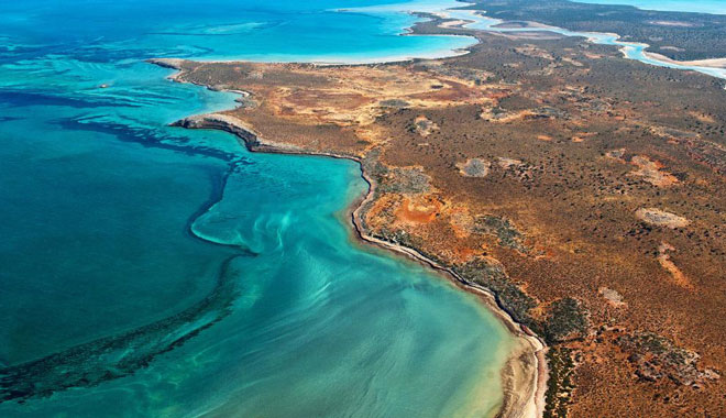 abrolhos island discovery1