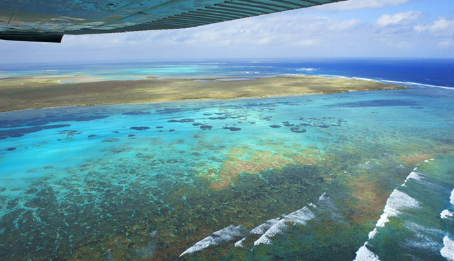 abrolhos island discovery3