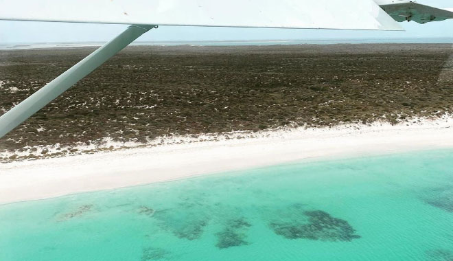 abrolhos island discovery32