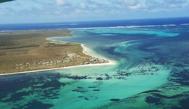 abrolhos island discovery5
